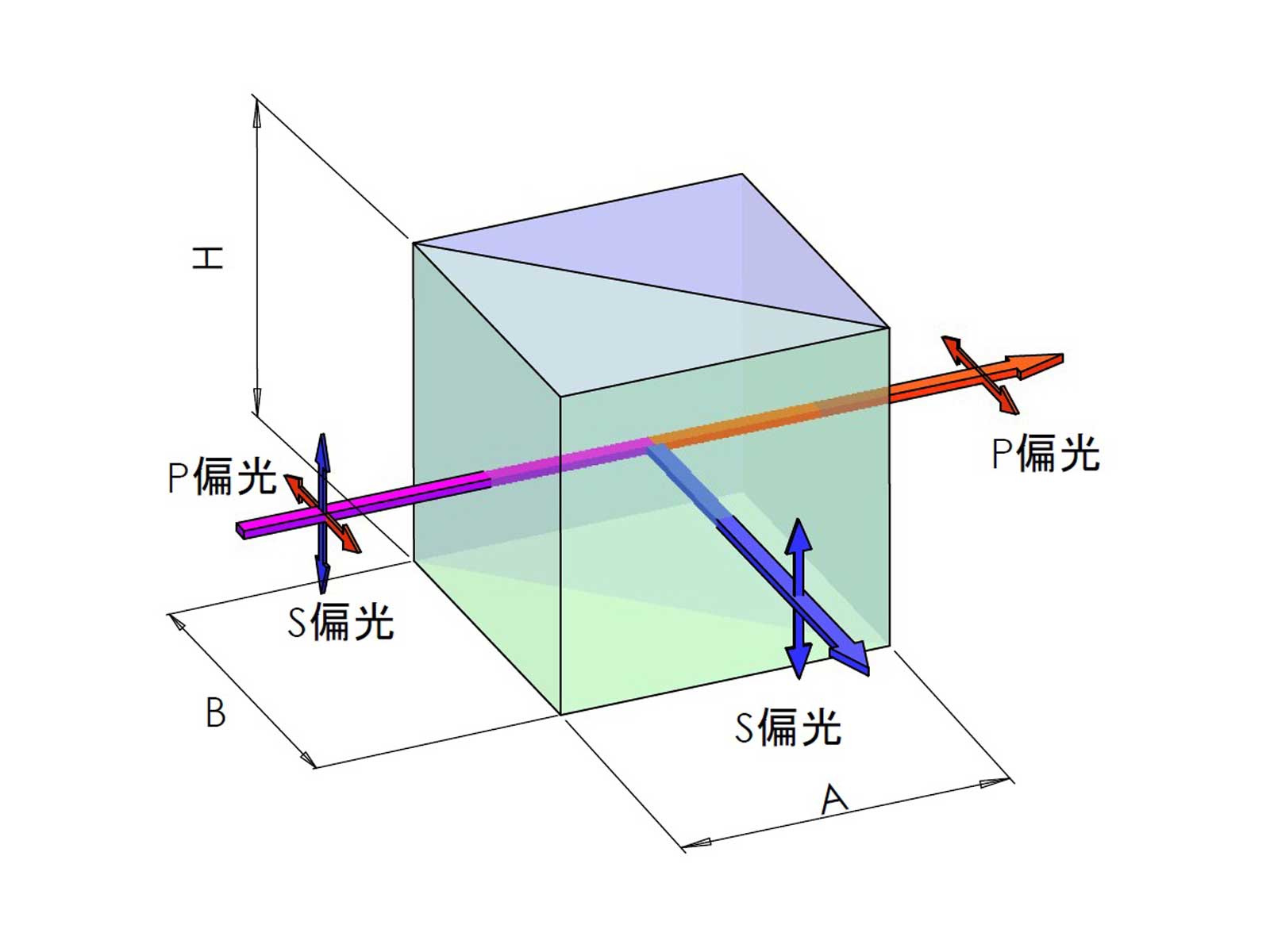 偏光ビームスプリッター寸法図