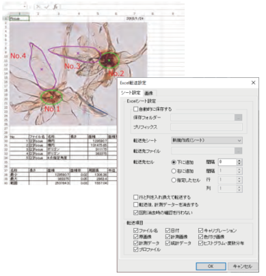 Excel®転送